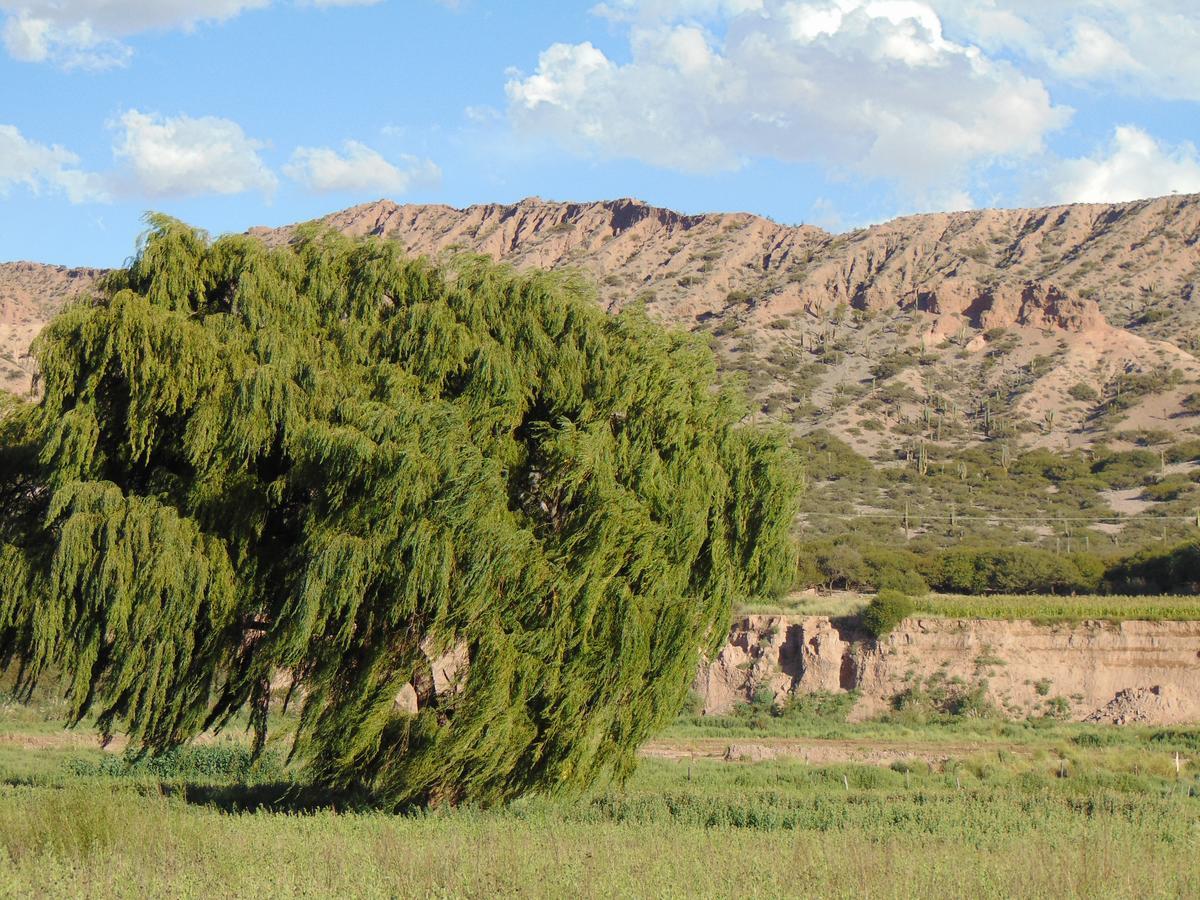 El Churqui Humahuaca Kültér fotó
